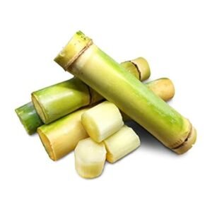 Fresh Sugarcane