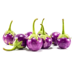 Small Brinjal / Eggplant