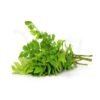 Fresh Curry Leaves