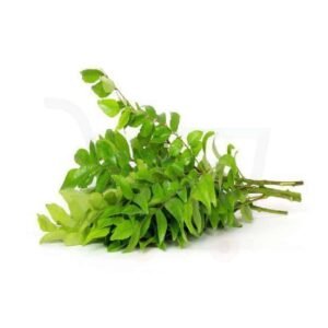 Fresh Curry Leaves